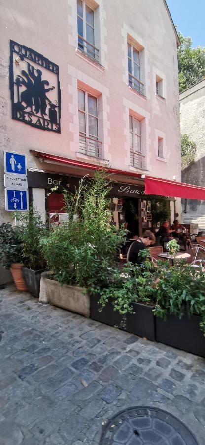 Le Logis De La Rue Des Arts Apartment Blois Exterior foto