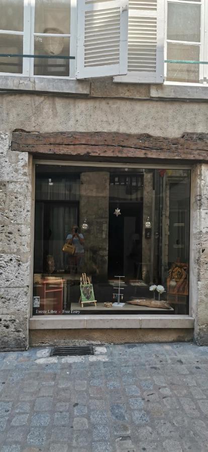 Le Logis De La Rue Des Arts Apartment Blois Exterior foto