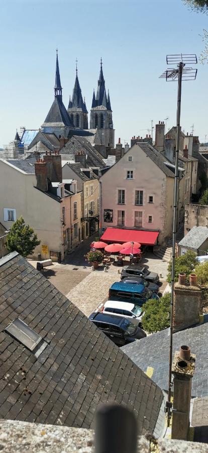 Le Logis De La Rue Des Arts Apartment Blois Exterior foto