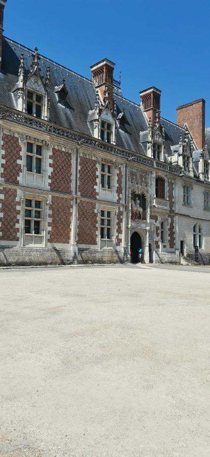 Le Logis De La Rue Des Arts Apartment Blois Exterior foto