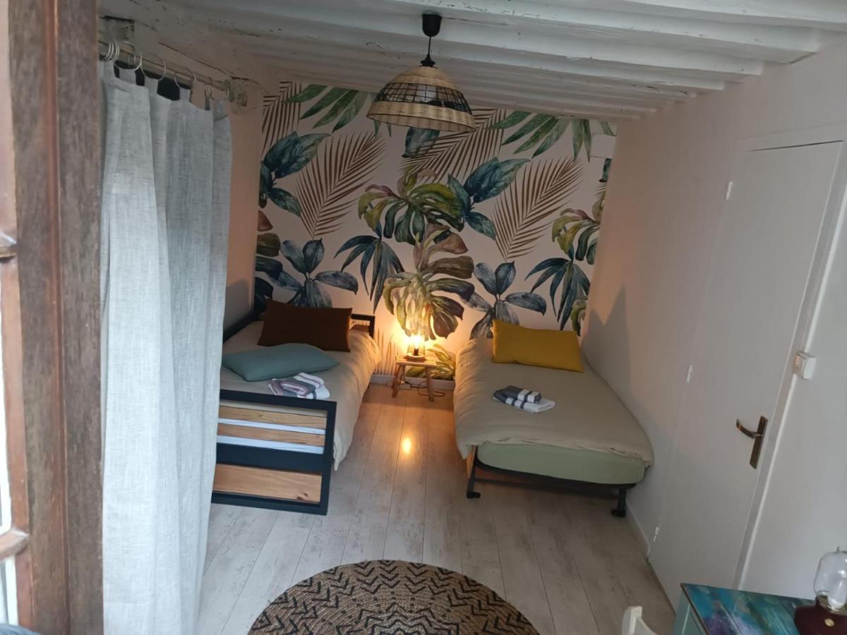 Le Logis De La Rue Des Arts Apartment Blois Exterior foto